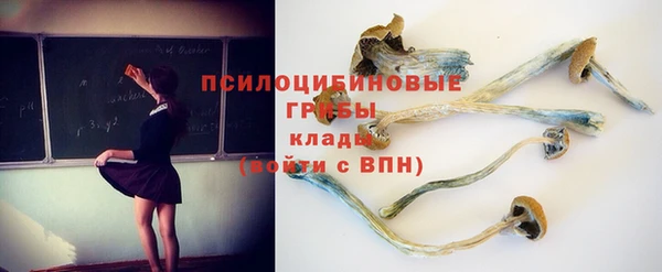 скорость Дмитриев