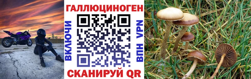 Галлюциногенные грибы мицелий  Ялта 